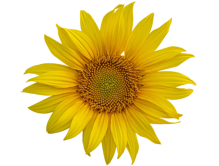 Агропросперіс Банк – банк із іноземним капіталом в Україні (100% капітал США та Європи).  – Фото 15 в Агропросперіс Банку