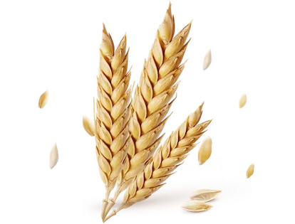 Агропросперіс Банк – банк із іноземним капіталом в Україні (100% капітал США та Європи).  – Фото 14 в Агропросперіс Банку