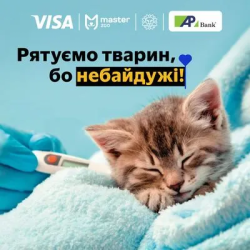 Благодійна акція Лапка турботи за підтримки Visa