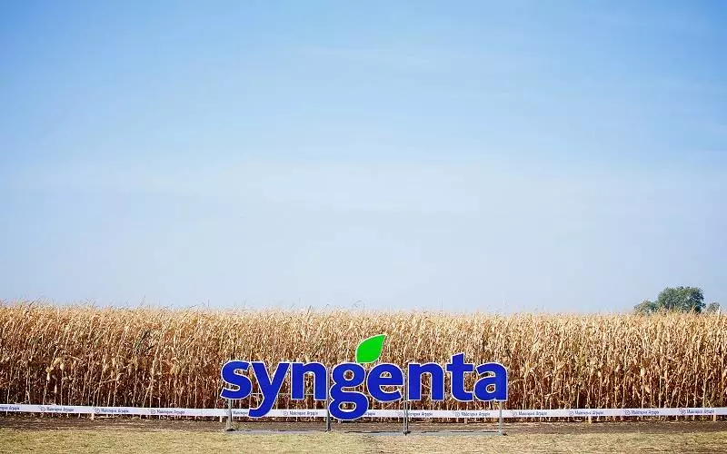 Syngenta and Agroprosperis Bank partnership program for farm seed and fertilizer